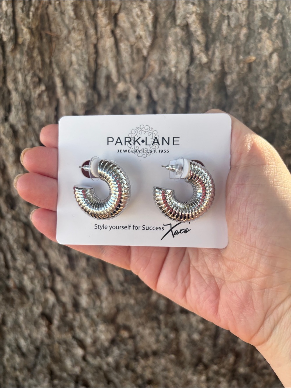 Embraceable Earrings sliver